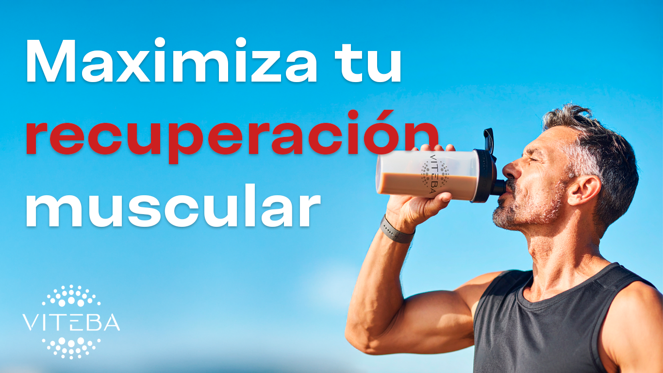 Maximiza tu recuperación muscular con Viteba Sport